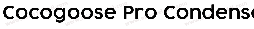 Cocogoose Pro Condensed Light字体转换